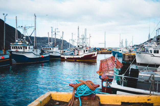 Freedom Brokers/ watercraft insurance